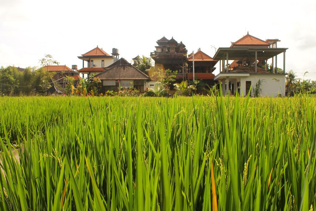 Cenik House Ubud Buitenkant foto